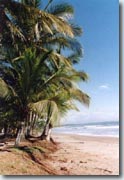 Playa dos Esterillos